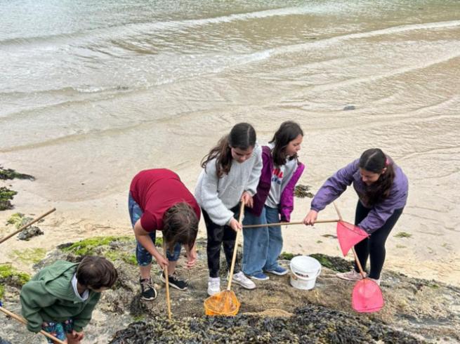 groupe d'enfants qui font de la pêche à pied